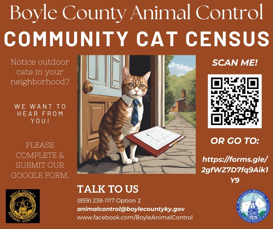 Cat Census Survey